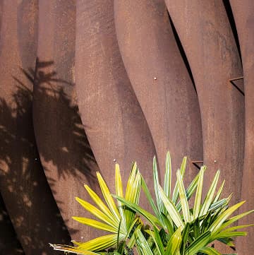 Photo de vegetation